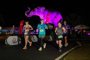 BIB: 
                            <button type="button" onclick="openModal(26535250)" class="btn btn-primary btn-sm float-right btn-popup" data-toggle="modal" data-target=".modal-high-quality">
                        <i class="fas fa-shopping-cart"></i> Add to Cart
                    </button>
                                            <button type="button" onclick="isThisMe(26535250, true)" class="btn btn-success btn-sm float-right btn-popup btn-isme hidden" data-toggle="tooltip" data-placement="bottom" title="นี่คือรูปของคุณใช่ไหม คลิกที่นี่เพื่อเอาเข้าอัลบั้ม">
                        <i class="fas fa-plus"></i> Add to album
                    </button>
                    <button type="button" onclick="isThisMe(26535250, false)" class="btn btn-warning btn-sm float-right btn-popup btn-isnotme hidden">
                        <i class="fas fa-ban"></i> Remove from album
                    </button>